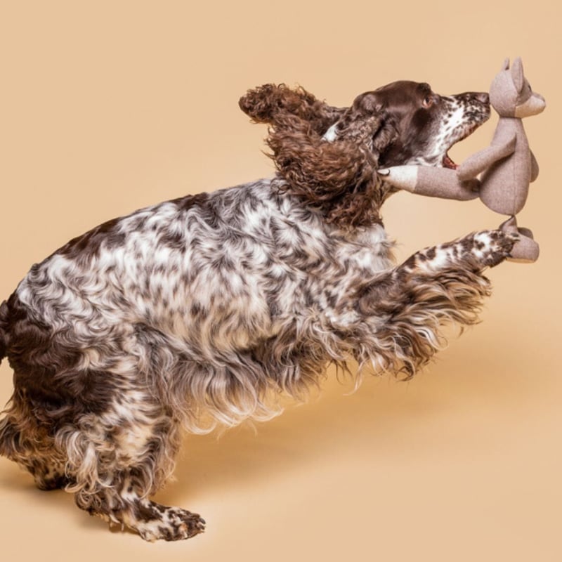 LILLY] オオカミさん | モフモフ mof_mof｜北欧デザインのペットグッズ