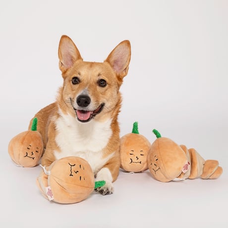 [furryfolks] 不機嫌なオニオン ノーズワーク