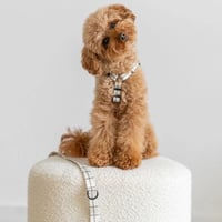 [Cafide] シンプルライン 軽量ハーネス