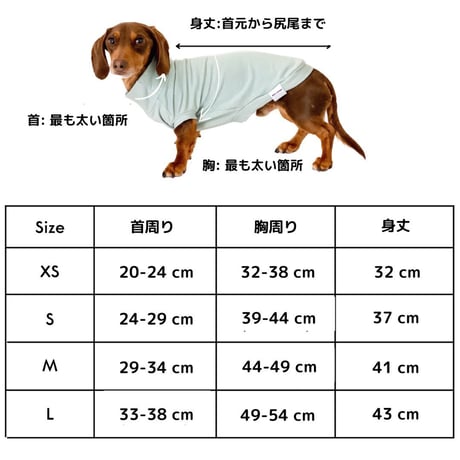 [Dear Cooper] クルーネック Tシャツ 胴長め ブルー/ピンク