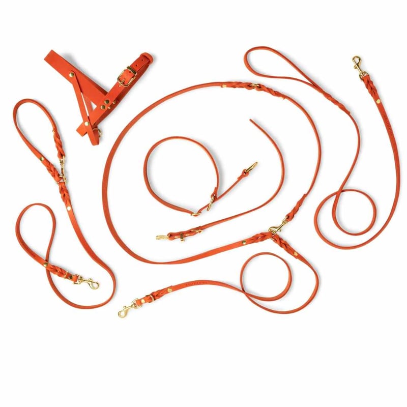 Molly&Stitch] 本革ハンズフリーリード MANGO | モフモフ mof_mof