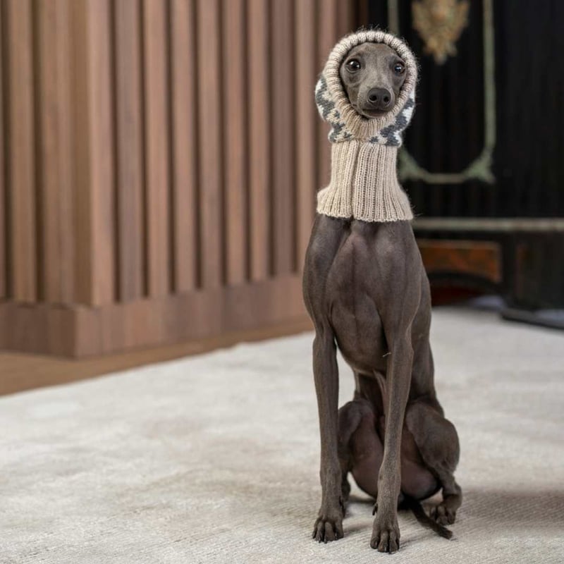 ALQO WASI ] アルパカ お帽子 | モフモフ mof_mof｜北欧デザインの