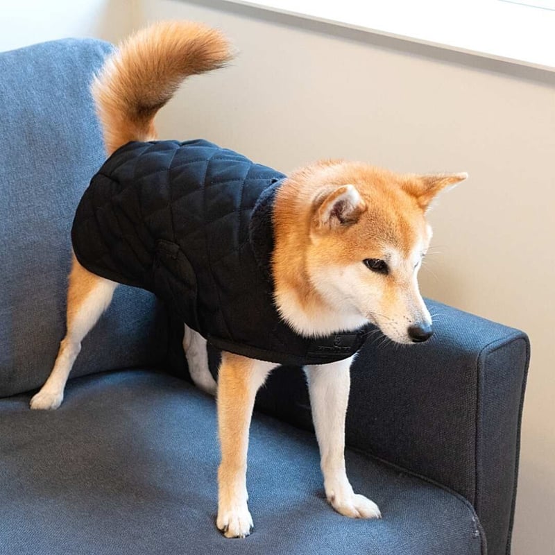 Kentucky Dogwear] 防寒コート ブラック/ボルドー/ネイビー | モフモフ