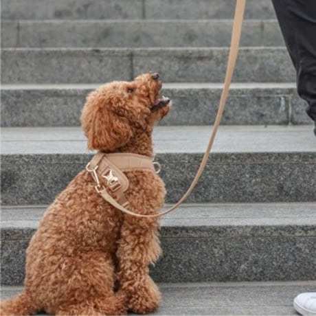 [Pups & Bubs]  防水マルチ リード 軽量タイプ ベージュ/ブラック