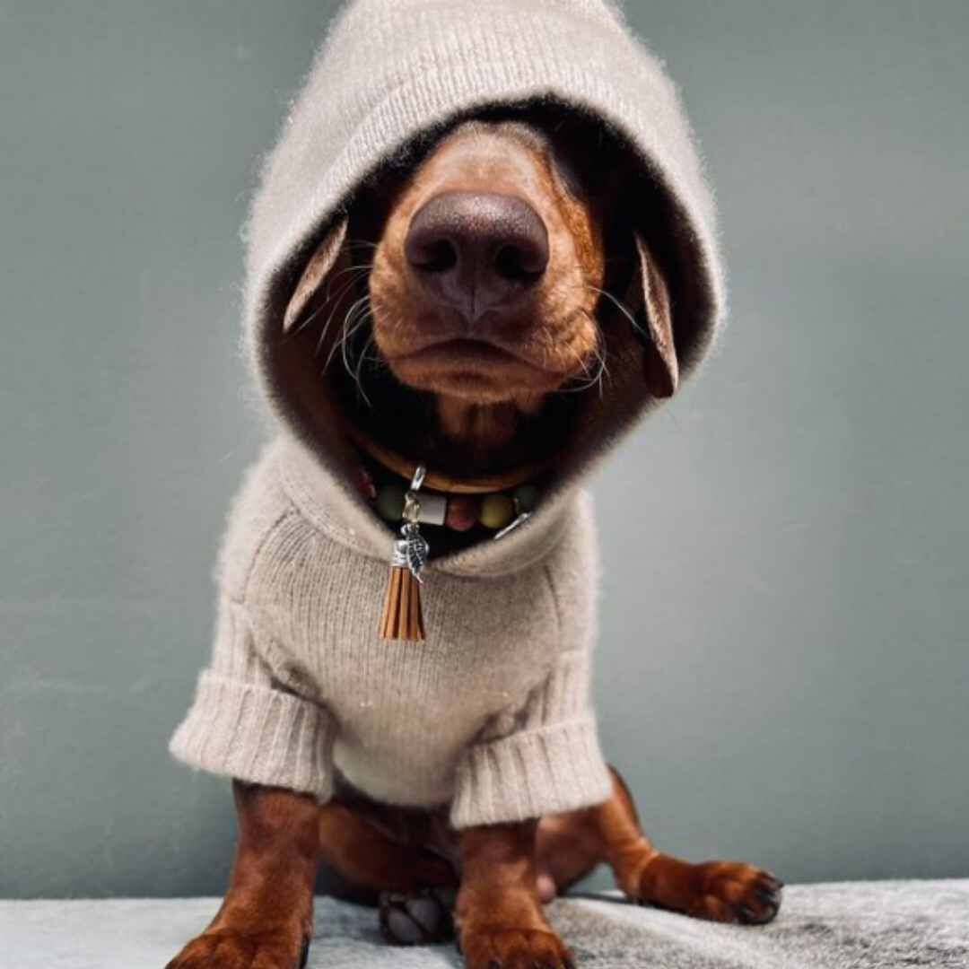 UCHINO カシミア100% ベージュ色 スヌード UCHINO カシミア100% ベージュ色 スヌード 楽天市場】カシミヤ