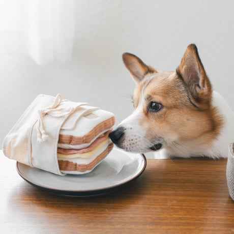 [lambwolf]  ハムチーズサンドイッチ ノーズワーク