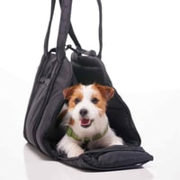 [Pups & Bubs]  ベットになるTOTEキャリー サンド/ブラック