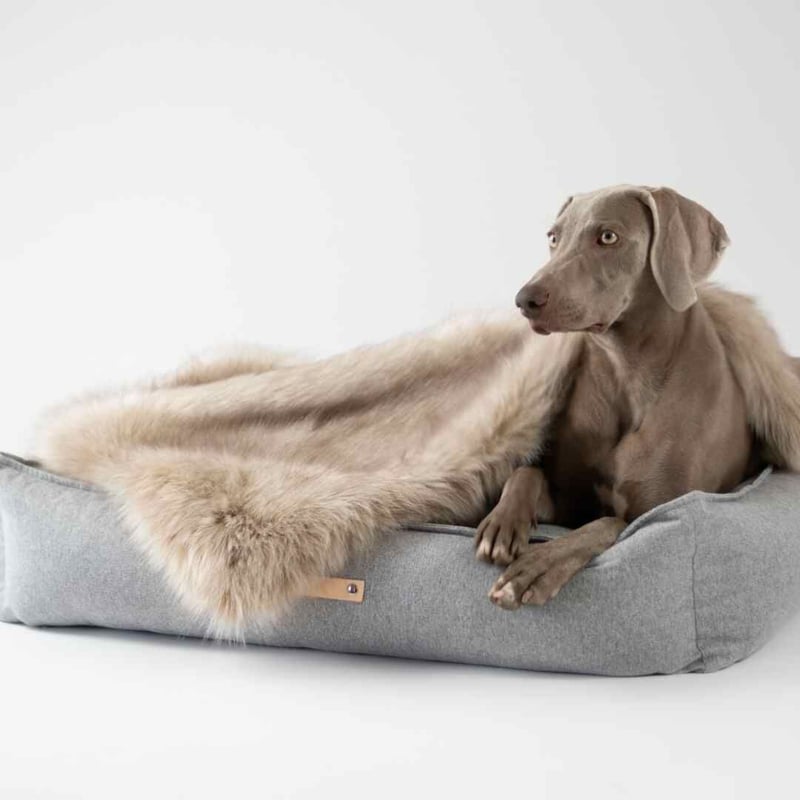 Labbvenn] エコファーブランケット (M) カプチーノ/グレー/ホワイト