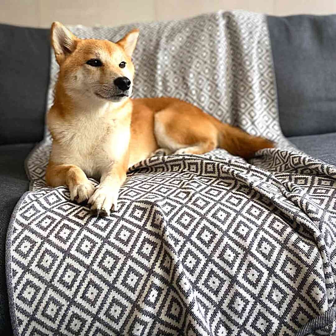 Labbvenn] タオルブランケット 大判 | モフモフ mof_mof｜北欧デザイン