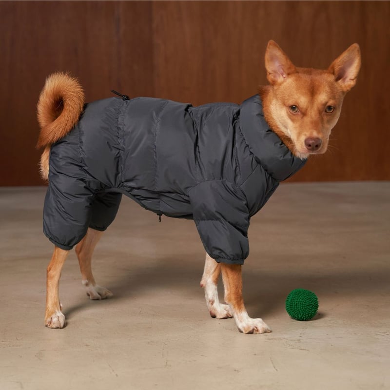 CushyCushy] フルカバー防水ダウン ピンク/モカ/ブラック/ネイビー