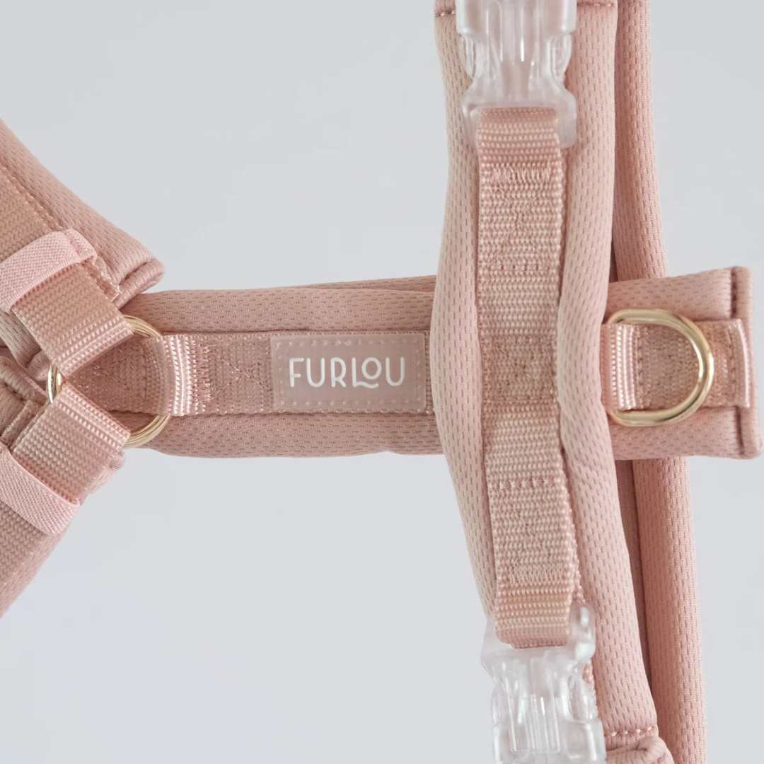 FURLOU] コンフォートY型ハーネス ベージュ/ローズ/ブラック