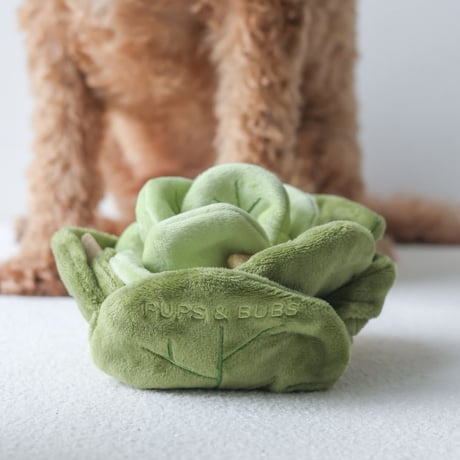 [Pups & Bubs]  キャベツ ノーズワーク