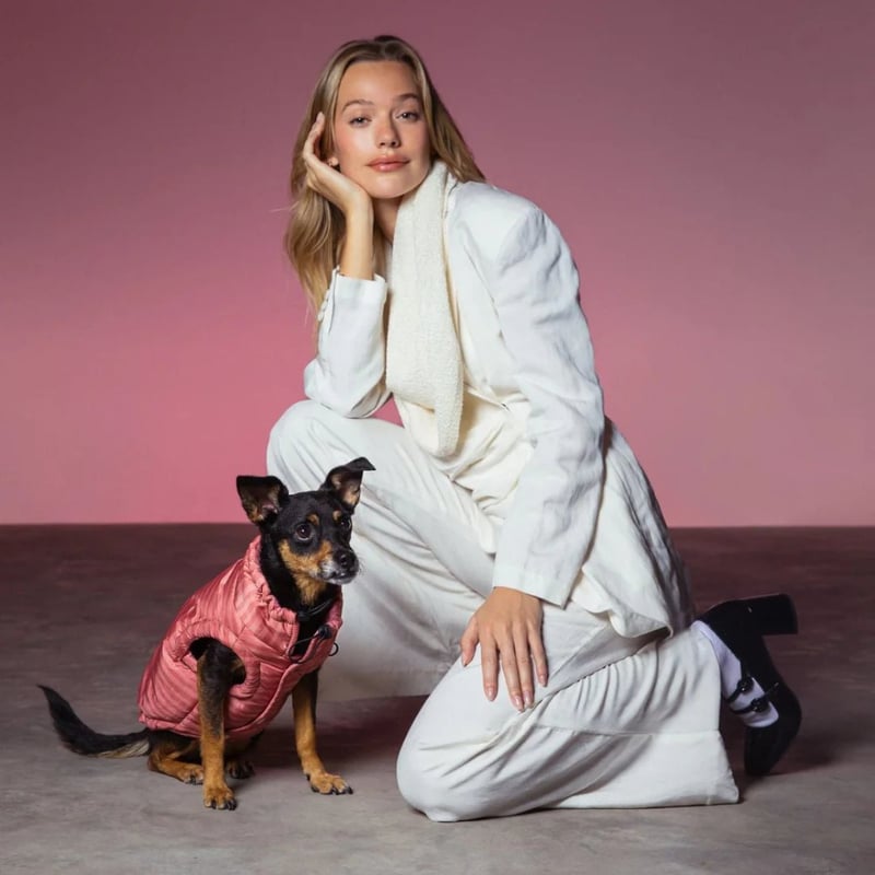 CATEGORY max-bone | モフモフ mof_mof｜北欧デザインのペットグッズ