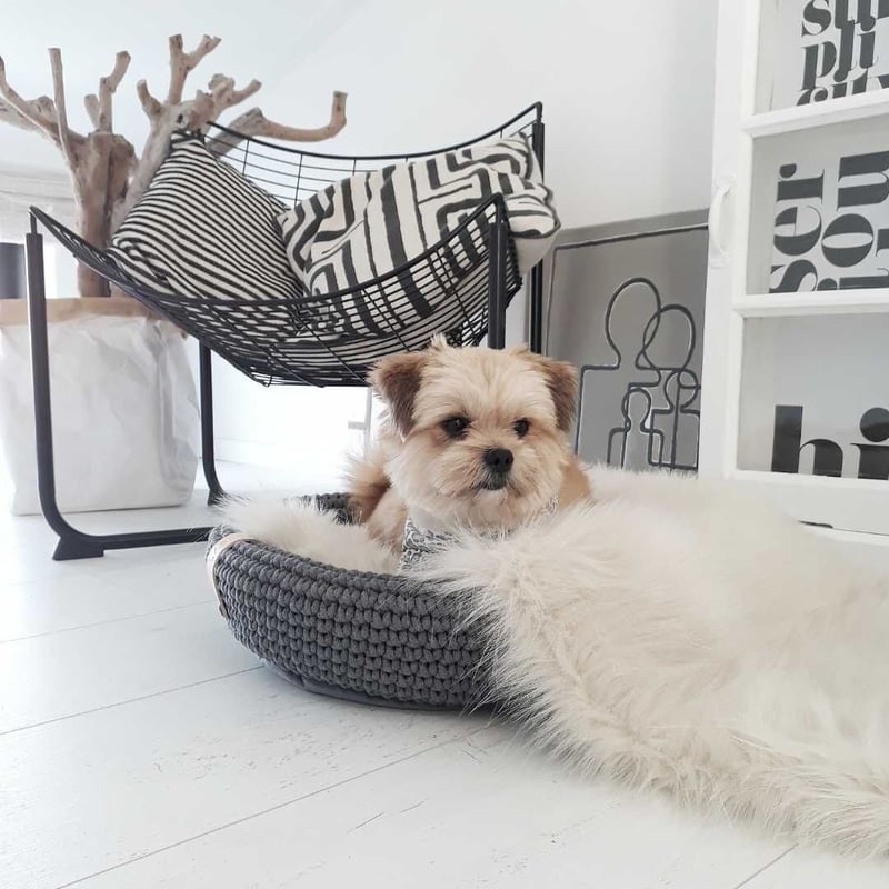 Labbvenn] エコファーブランケット (S) カプチーノ/グレー