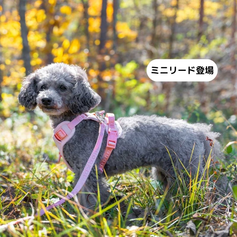 CATEGORY max-bone | モフモフ mof_mof｜北欧デザインのペットグッズ