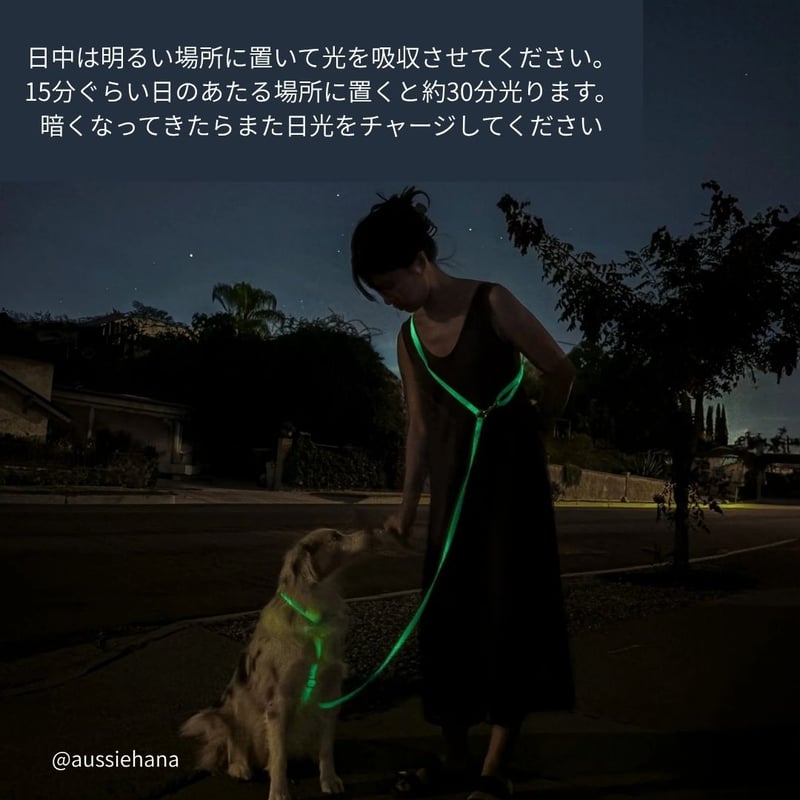 SunnyTails] 防水 ハーネス 限定カラー ピンク/反射ホワイト