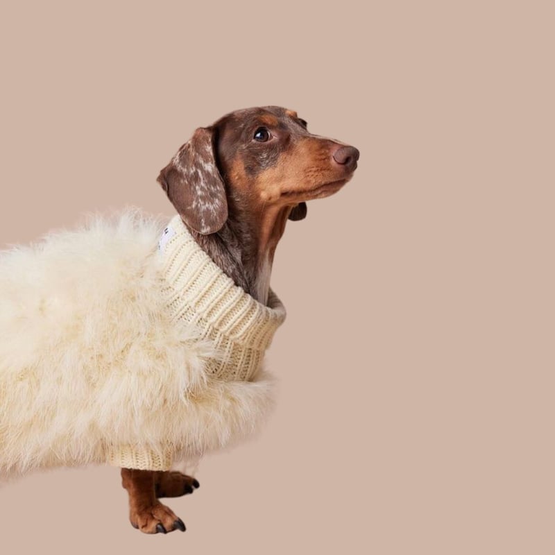 ♡おしゃれダックスオーダーページ① CATEGORY おしゃれダックス用 | モフモフ mof_mof｜北欧デザインの