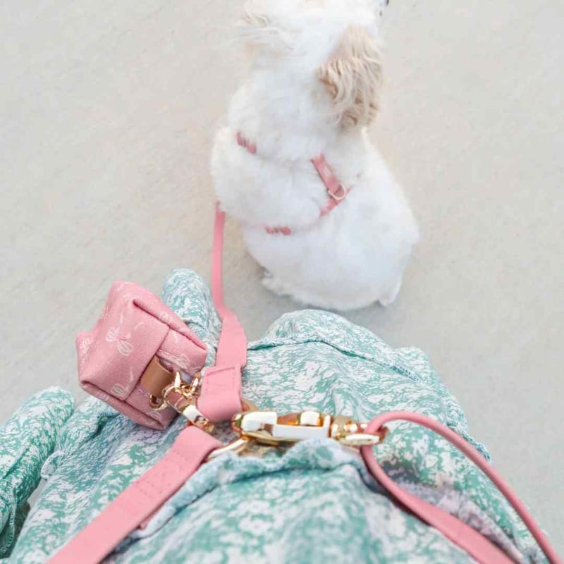 SunnyTails] 防水首輪 限定カラー ピンク/ホワイト | モフモフ mof_mof