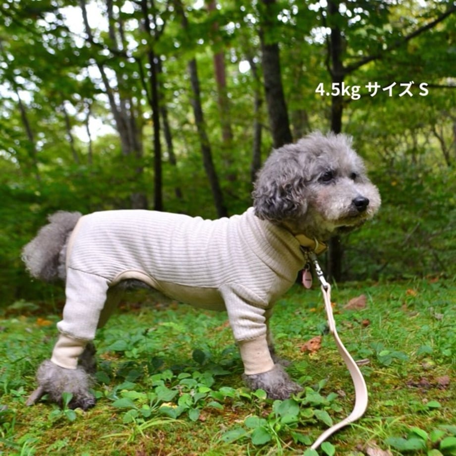 67c7ebdfa8296c43d4fec1a5