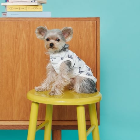[PET SO CHIC]  クール タンクトップ A DOG IN PARIS (XSからXXLまで)