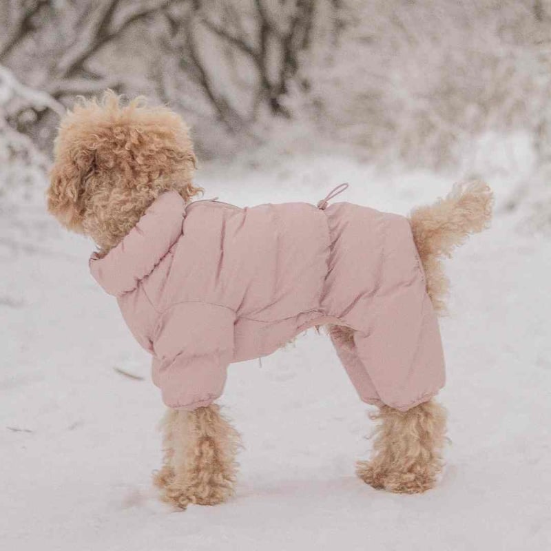 CushyCushy] フルカバー防水ダウン ピンク/モカ/ブラック/ネイビー