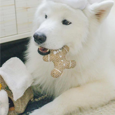 [lambwolf] ジンジャーハウス + ジンジャーマン２個付き