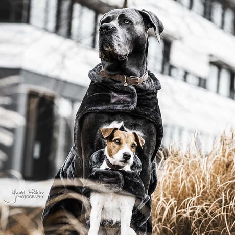 [Kentucky Dogwear] もこもこ防寒コート チャコールグレー
