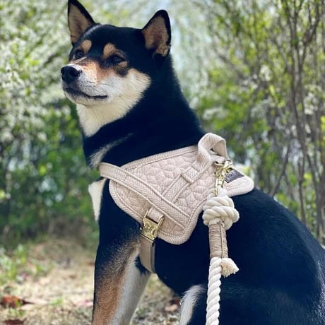 [Kentucky Dogwear]ソフトボディーハーネス Beige/Blue/Charcoal/Pink