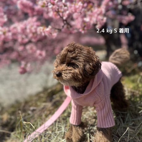 [woolwag]  カシミア フーディー ４色