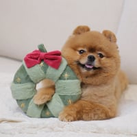 [Pups & Bubs]  クリスマスリース ノーズワーク