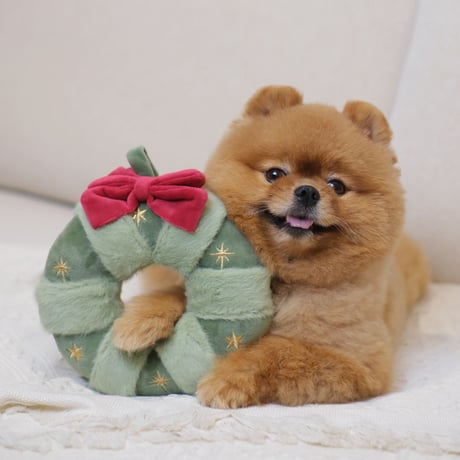 [Pups & Bubs]  クリスマスリース ノーズワーク