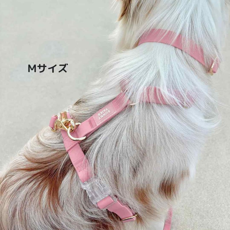 パピリーヒルズ リュバンドール ハーネス SS ブルー とピンク 2点