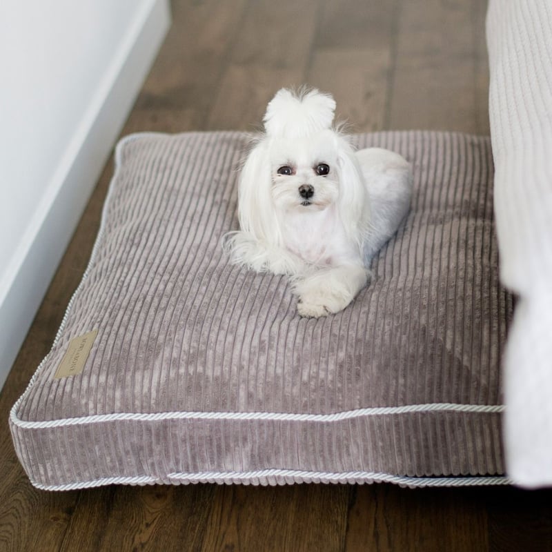 CATEGORY SLEEP | モフモフ mof_mof｜北欧デザインのペットグッズ