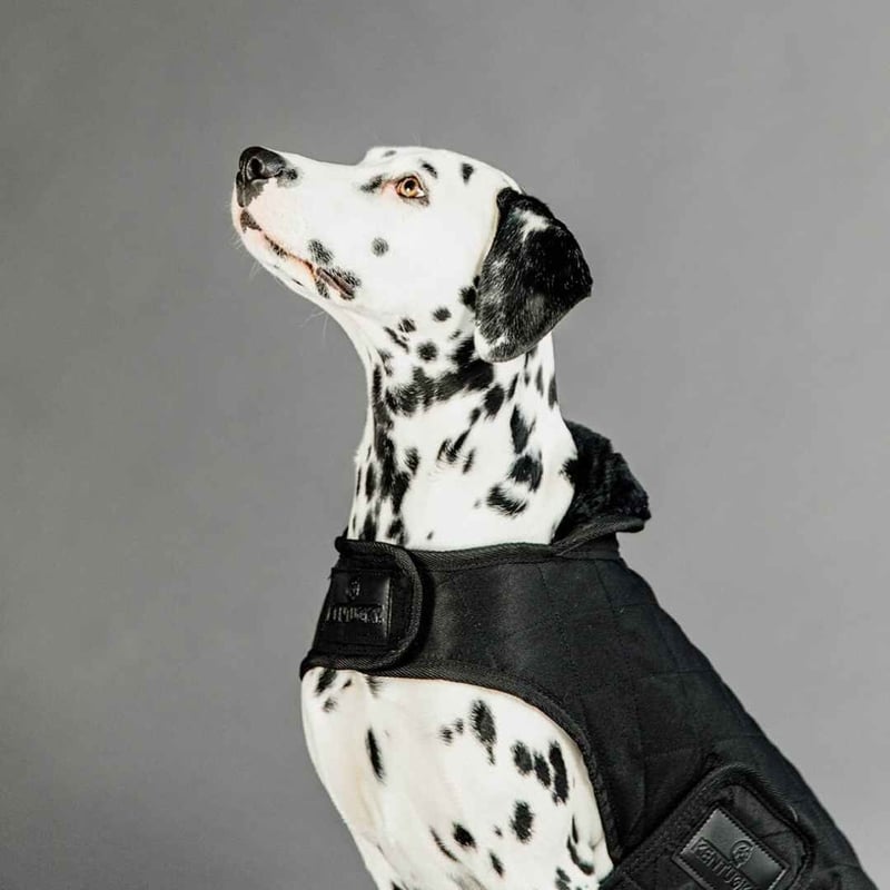 Kentucky ドッグコート KENTUCKY＞ Dog Coat Fake Fur（ドッグコート フェイクファー