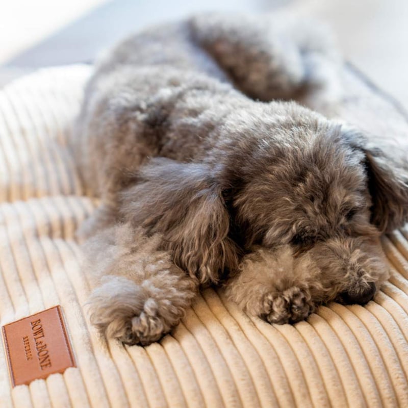 BBR] DECO クッションベッド クリーム S/M | モフモフ mof_mof｜北欧デ