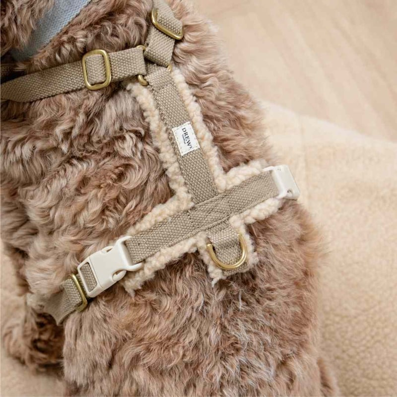 DREW's] テディー ハーネス グレージュ S/M/L | モフモフ mof_mof｜