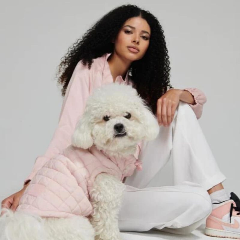 CATEGORY max-bone | モフモフ mof_mof｜北欧デザインのペットグッズ