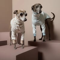 [Striped Dog]  ハイネック リブ ボーダー イタグレ用 ２色