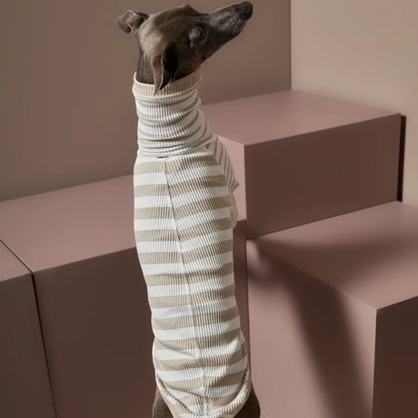 [Striped Dog]  ハイネック リブ ボーダー イタグレ用 ２色