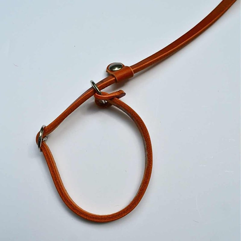 AXELLE] レザー製 首輪一体型リード 「小型犬用」 | モフモフ