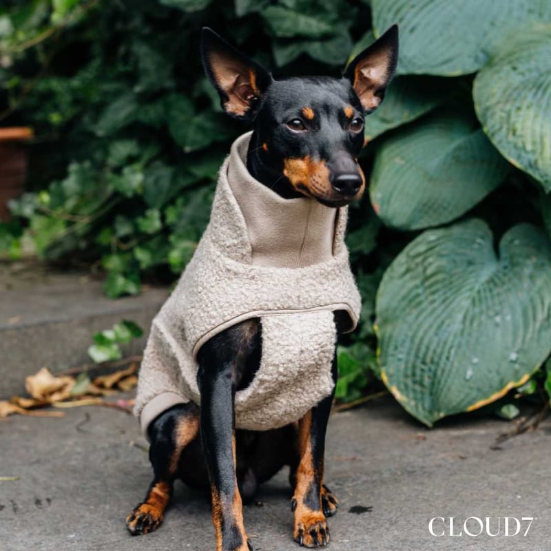 楽天市場】犬用コート Cloud7 クラウド7 グラスゴー グリーンチェック