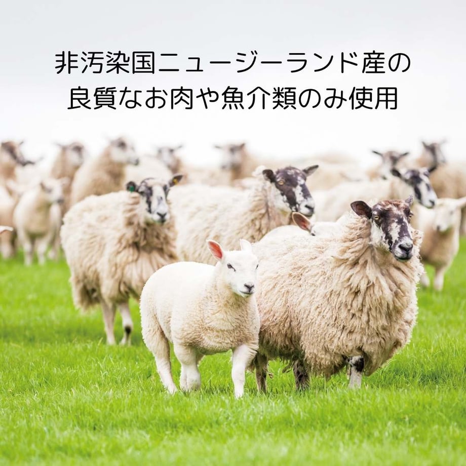 68340a9240aa6230c7f8fff6