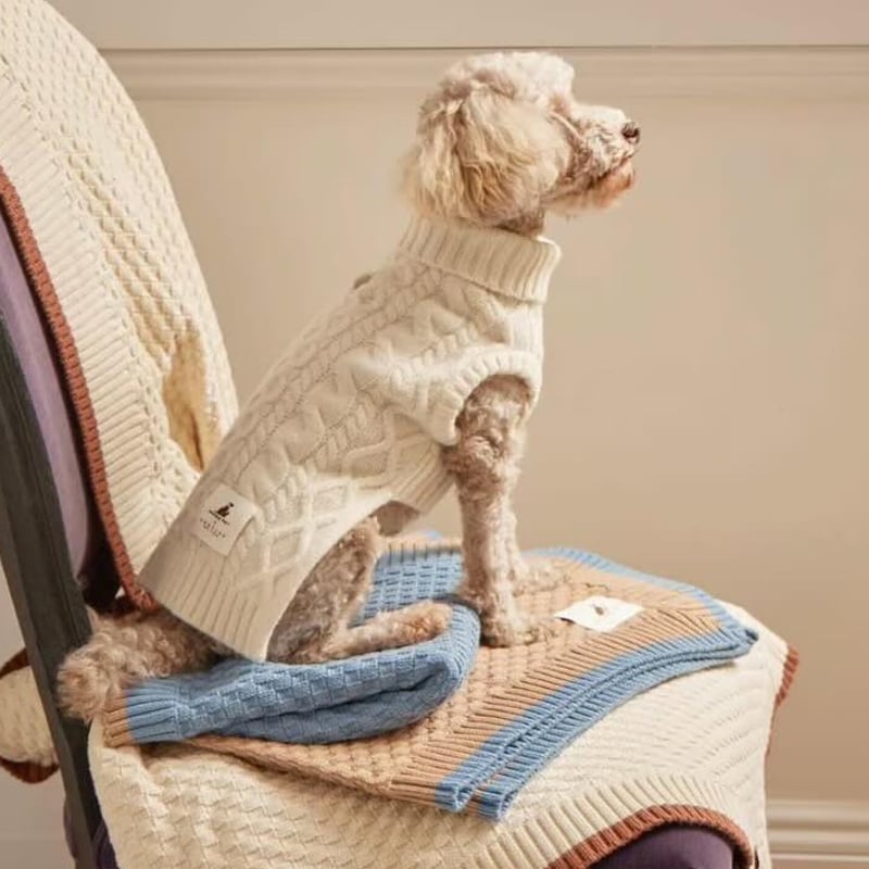 犬服 ラグラン(S) ꒡̈⃝Lily꒡̈⃝ハンドメイド Xmasもふもふ 犬服