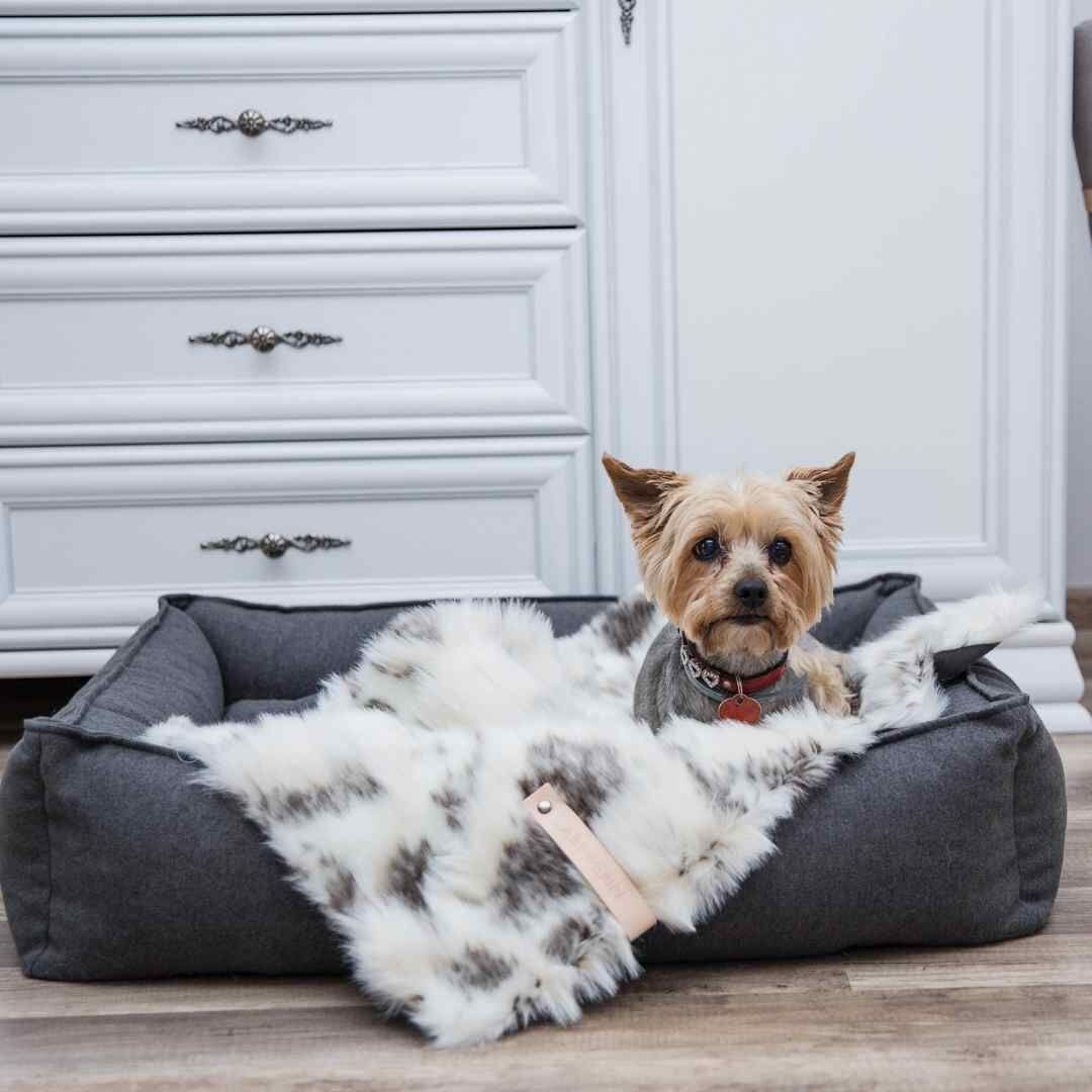 LABBVENN MØVIK DOG CUSHION グレー Mサイズ Labbvenn] エコファーブランケット (M) アイボリーグレージュ