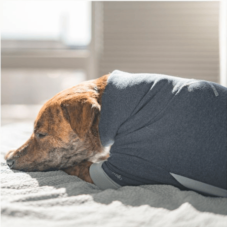 [furryfolks]  High Neck Jumpsuit ネイビー (XSラスト１点）