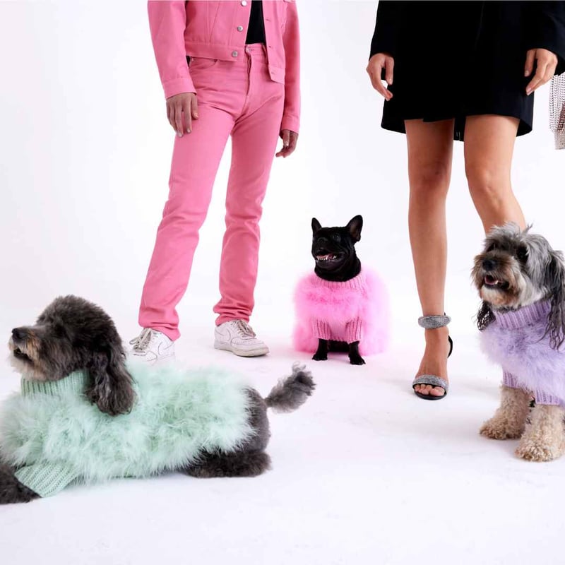 【max bone】Christian Cowan コラボ（mint）　ｍサイズ max-bone] 防水首輪 ミント/サンドベージュ | モフモフ mof_mof