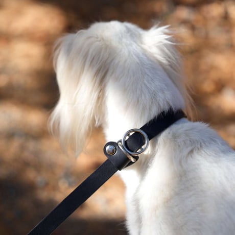 [AXELLE] レザー製 首輪一体型リード 「中大型犬用」