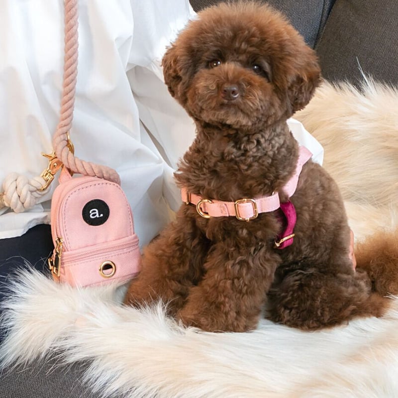 もふもふ Labbvenn] エコファーブランケット (M) カプチーノ/グレー/ホワイト