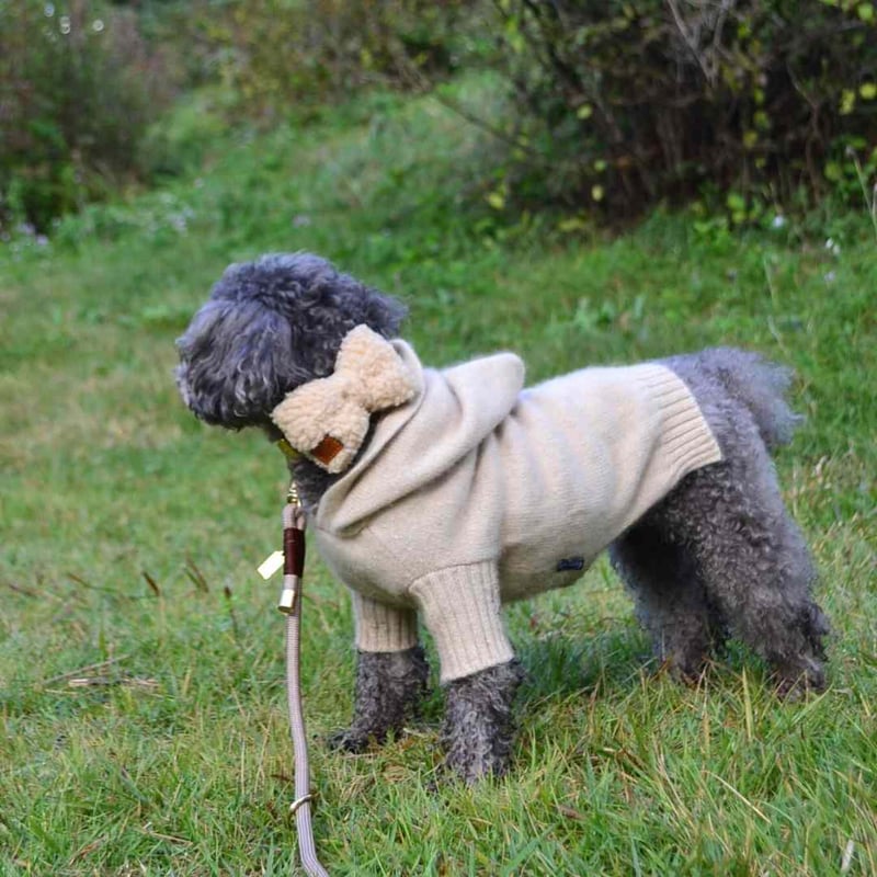 DREW's] テディー ハーネス グレージュ S/M/L | モフモフ mof_mof｜