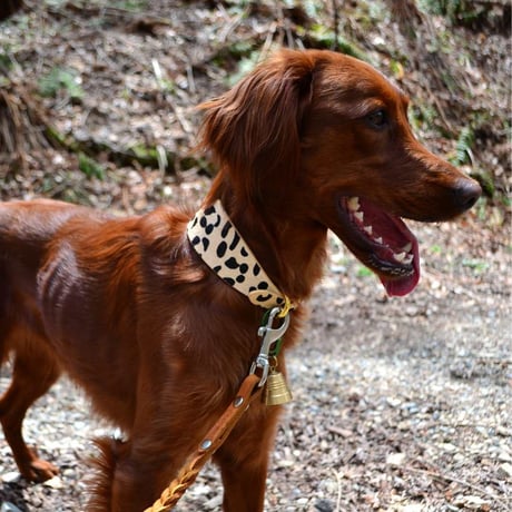 [Collar of Sweden] Leopard ワイド/スリム/ハーフチョーク